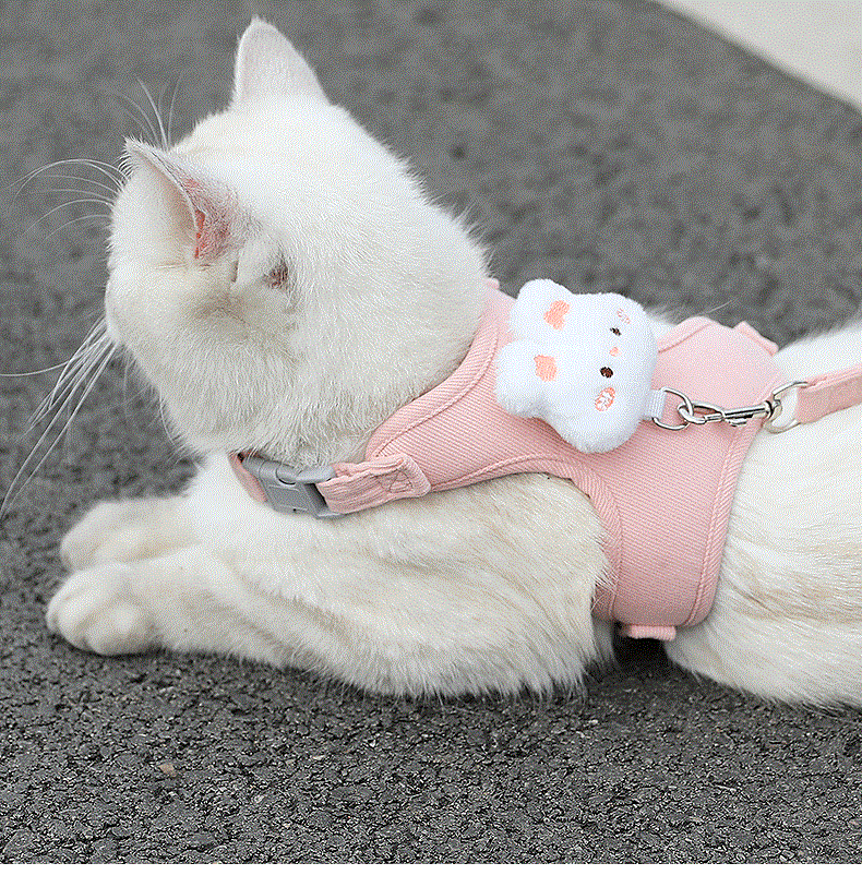 와이낫펫 고양이 하네스 4