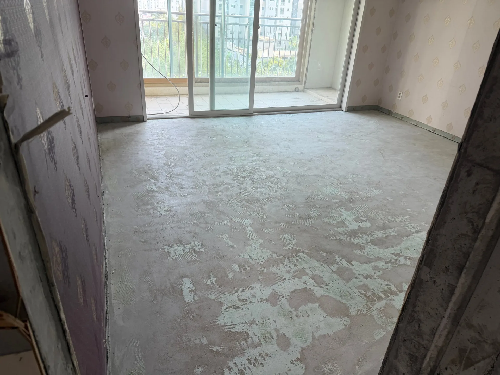  사진 16