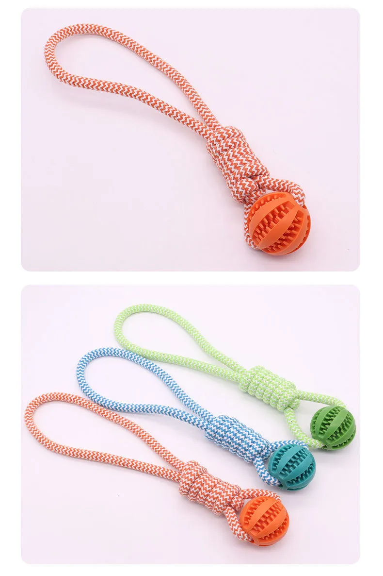 와이낫펫 터그 노즈워크 볼 (총길이 38cm, 공지름 5cm), 랜덤발송 5