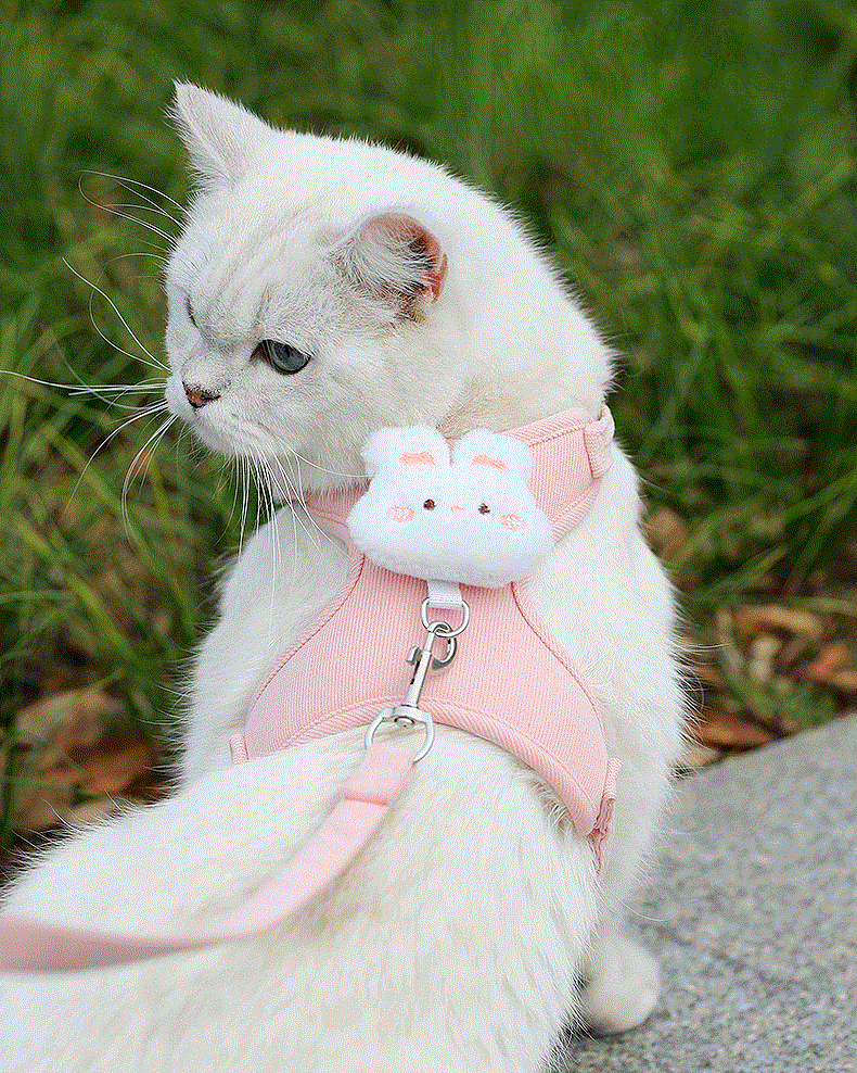 와이낫펫 고양이 하네스 5
