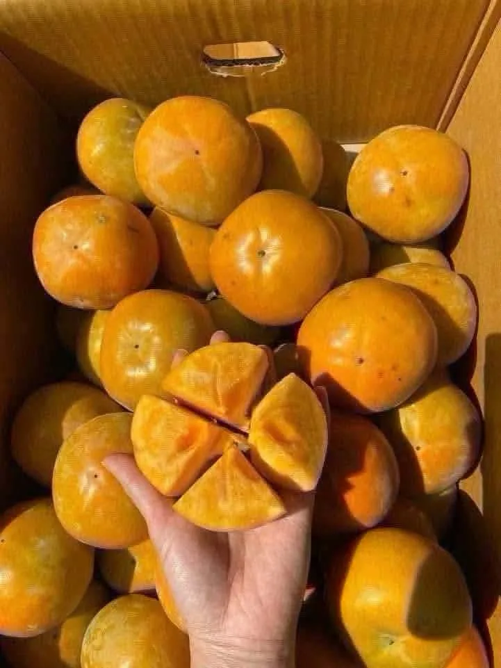 단감, 감 10kg 1