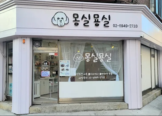 전 견종 맞춤 디자인 가위컷