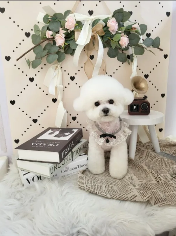 엉킴시 추가비용 소정 발생