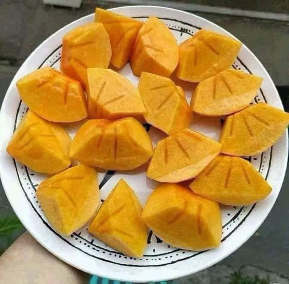 단감, 감 10kg 2