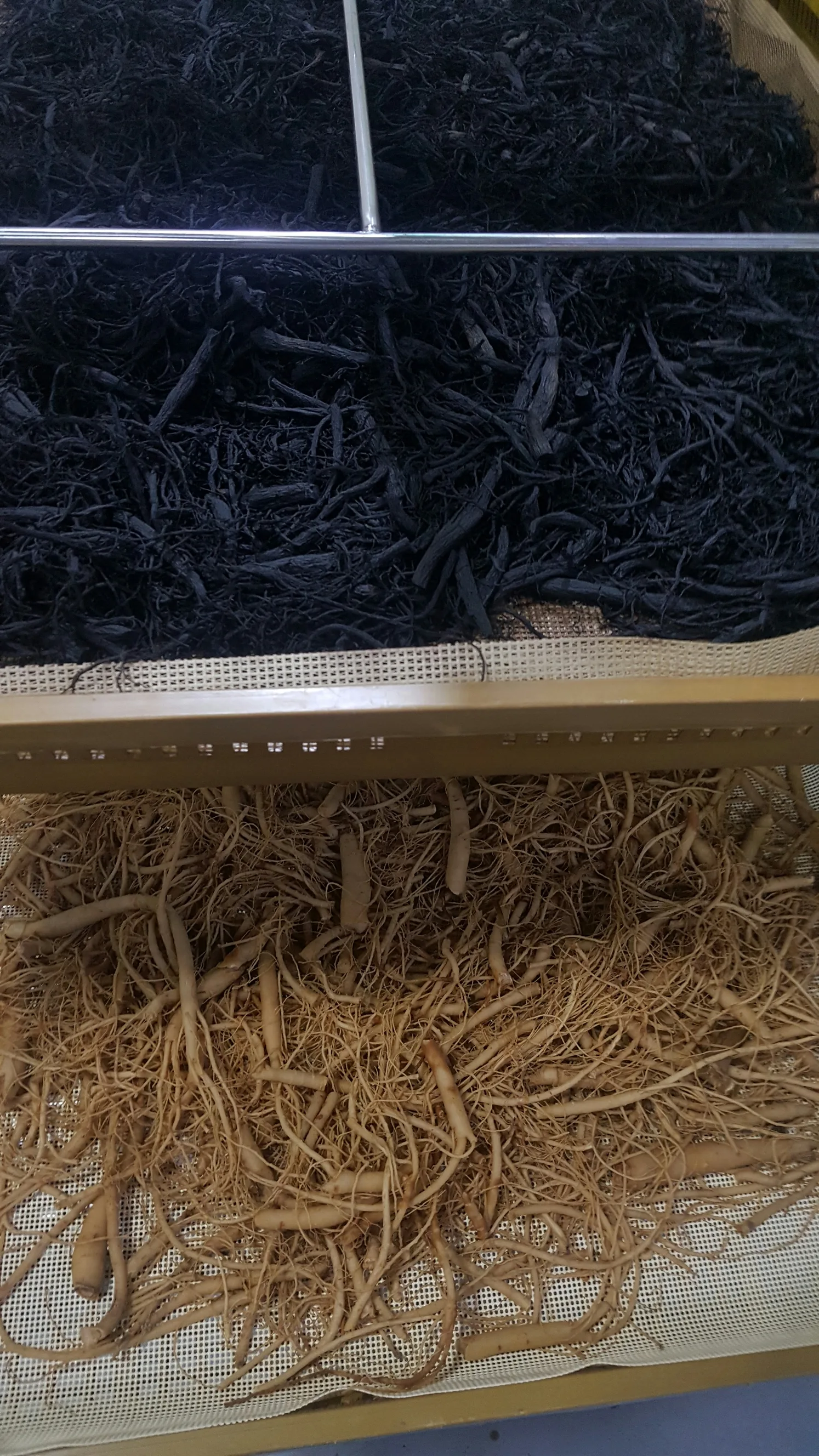 흑미삼 흑삼 50g 2