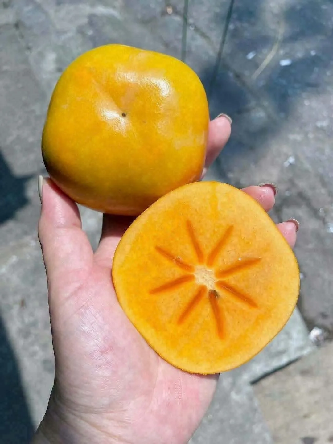 단감, 감 10kg 3
