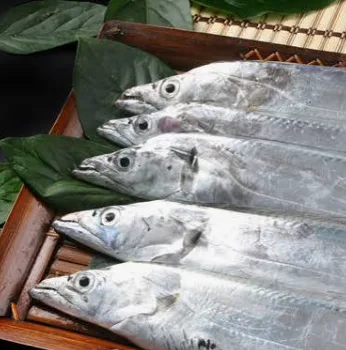 제주 손질 은갈치 (5마리)
