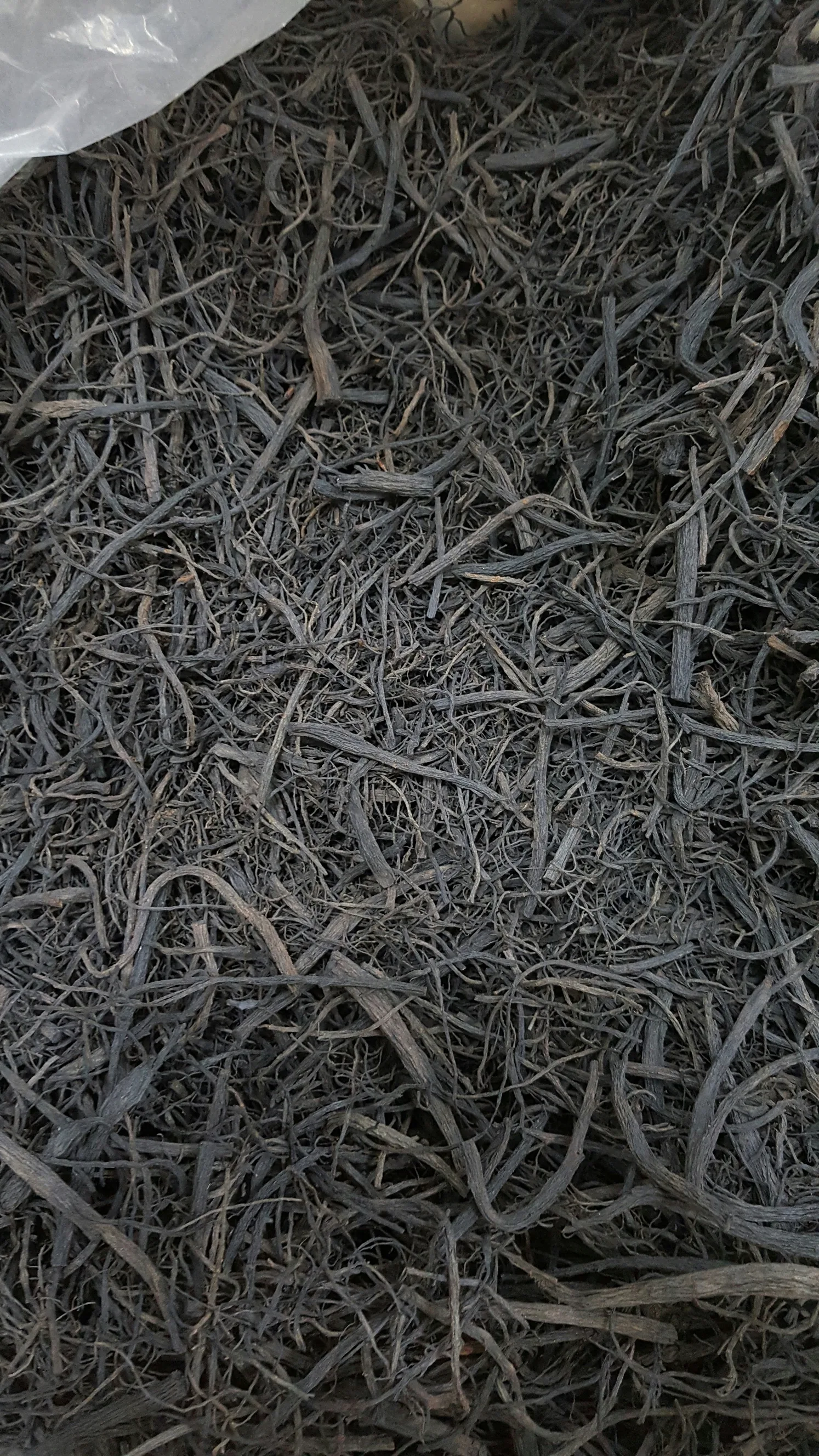 흑미삼 흑삼 50g 5