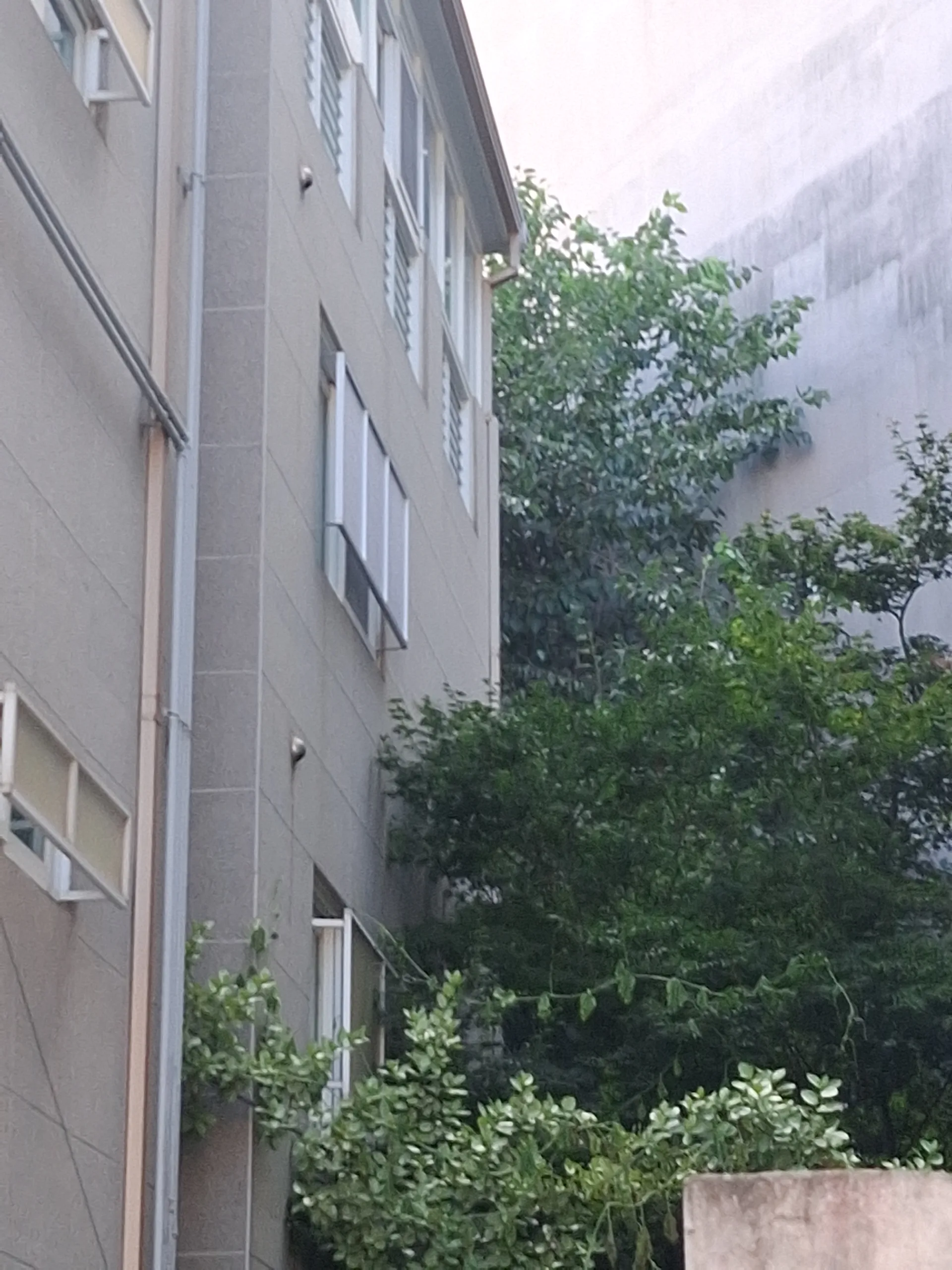 신림동 빌라 창문 사생활보호막설치 렉산 가림막으로 외부시선 차단 사진 16