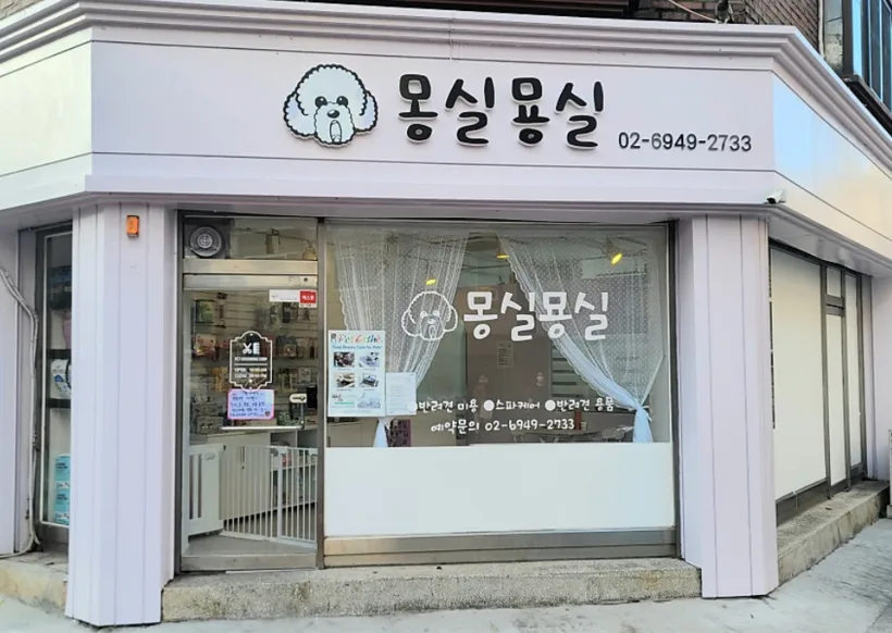 모든 견종 가위컷 가능