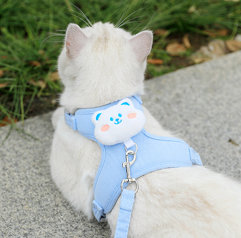 와이낫펫 고양이 하네스 3