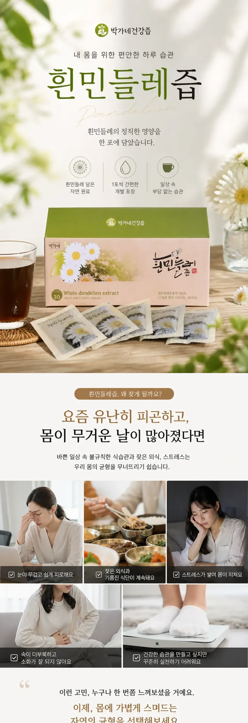 흰민들레즙 상세정보