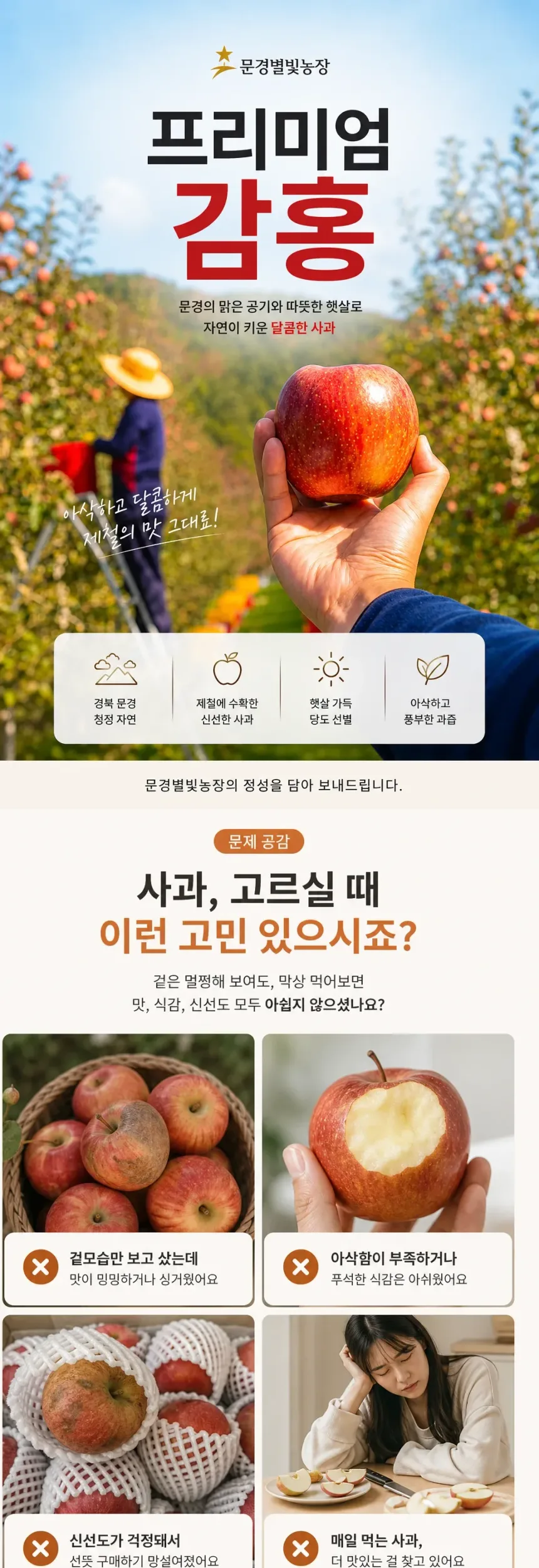 프리미엄 감홍 상세정보
