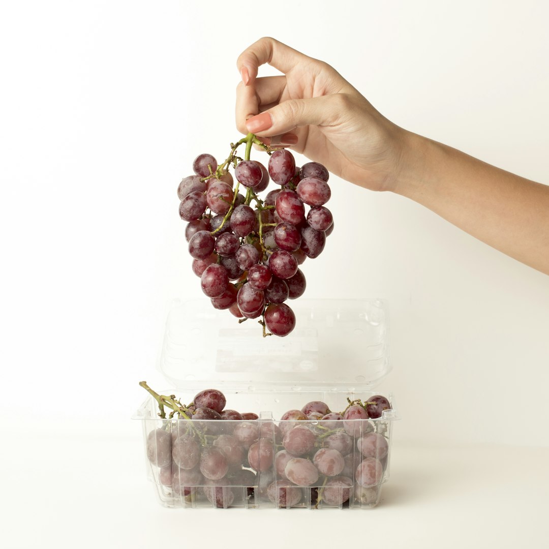 캠벨 포도 (3kg) 2
